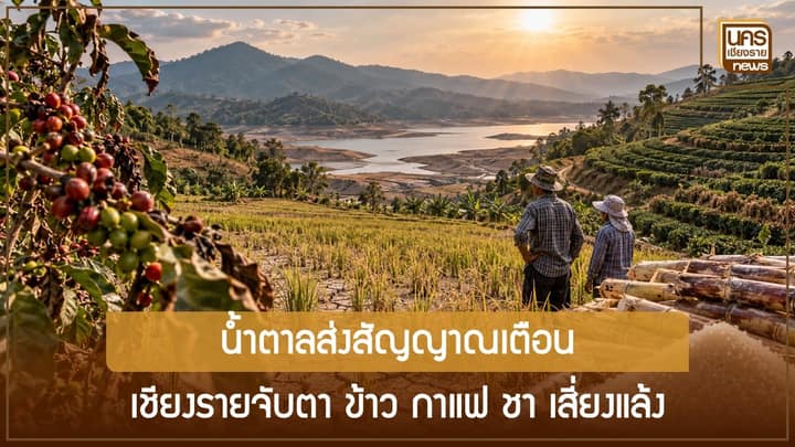 WMO ชี้เอลนีโญลากยาวถึงปี 2570 ตลาดน้ำตาลส่อขาดดุล เชียงรายเฝ้าระวังพืชเศรษฐกิจและแหล่งน้ำ