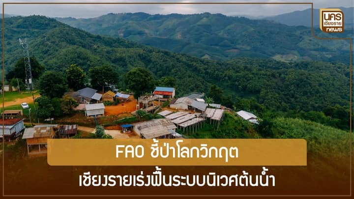 โคลนถล่มเตือนแล้ว ยูเอ็นลั่นเวลาฟื้นป่าโลกใกล้หมด เชียงรายต้องเร่งกู้เขาหัวโล้นก่อนอุทกภัยซ้ำ