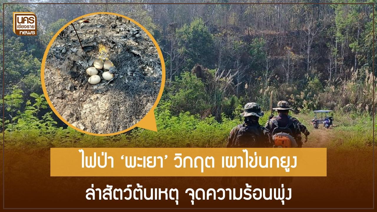 ไฟป่า ‘พะเยา’ วิกฤต เผาไข่นกยูง ล่าสัตว์ต้นเหตุ จุดความร้อนพุ่ง