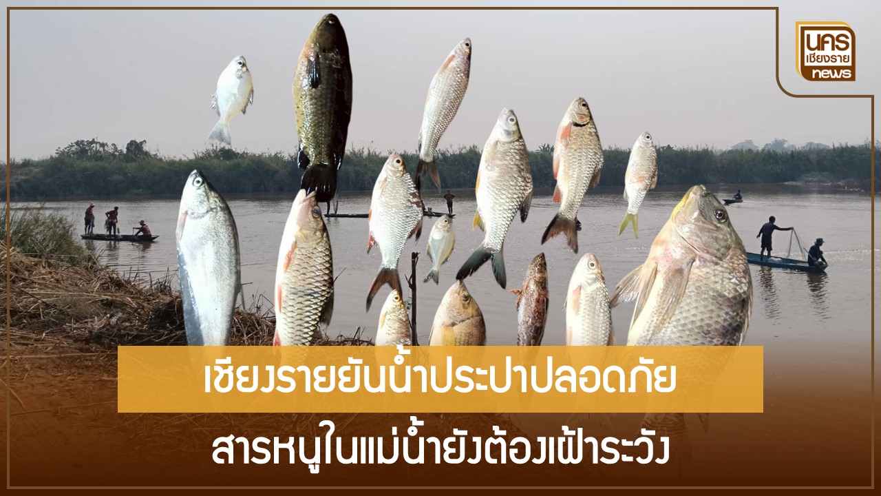 เชียงรายยืนยันน้ำประปา กปภ. และผักผลไม้ปลอดภัยจากสารหนู แต่ยังคุมเข้มตรวจซ้ำและเฝ้าระวังเครื่องในปลา